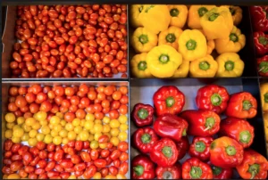 Illustration Article SuperQuinquin