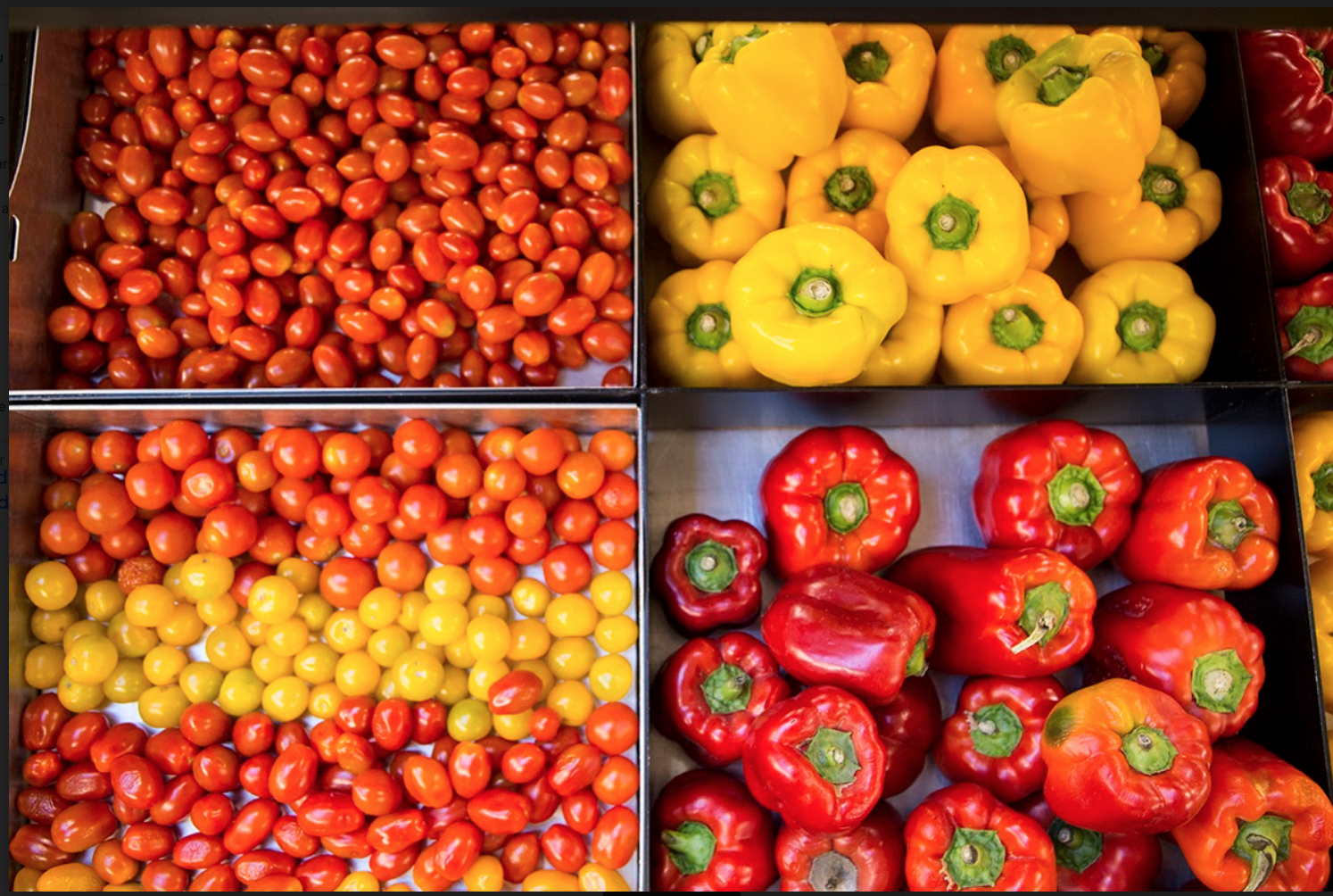 Illustration Article SuperQuinquin